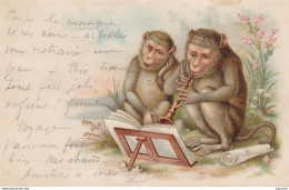 Z16- CHIMPANZES - SINGE - SINGES  MUSICIENS  - CLARINETTE - PARTITION - (OBLITERATION DE  1904 - 2 SCANS))  - Monkeys