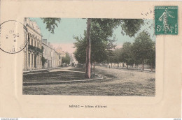 Z14- 47) NERAC -  ALLEES D'ALBRET - (COULEURS) - Nerac