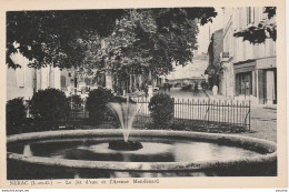 Z13- 47) NÉRAC -  LE JET D'EAU ET L'AVENUE MONDENARD  - (2 SCANS)  - Nerac