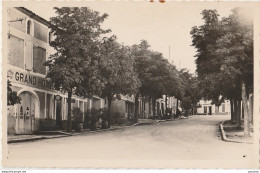 Z9- 47) CASTILLONNES (LOT ET GARONNE) AVENUE DES GRANDS HOTELS - (2 SCANS)) - Autres & Non Classés