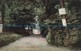 R675796 Watford. Grove Mill Lane. The London View. 1907 - World