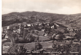 Cartolina Lama Mocogno ( Modena ) Panorama - Modena