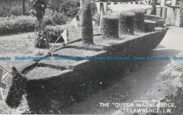 R677264 I. W. St. Lawrence. The Queen Mary Hedge - World
