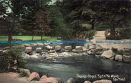 R675807 Sheffield. Stepping Stones. Endcliffe Woods. Valentine Series. 1909 - World