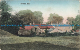 R678156 Ridley Mill. Ruddock. Postcard - World