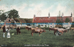 R678234 Jersey Cows. Milking Time. Hartmann. 1904 - Monde