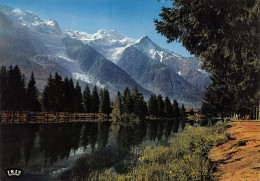 74-CHAMONIX-N°3940-B/0229 - Chamonix-Mont-Blanc