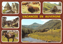 15-AUVERGNE-N°3940-B/0191 - Autres & Non Classés