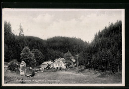 AK Bischofsmühle Im Rodachtal, Siedlung Am Waldrand  - Bad Rodach