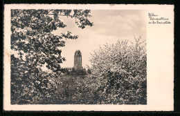 AK Guben, Blick Auf Den Bismarckturm In Der Baumblüte, Landpoststempel  - Other & Unclassified