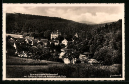 AK Wolfersdorf Ortsansicht Mit Dem Schloss Fröhliche Wiederkunft In Thür., Landpoststempel  - Other & Unclassified