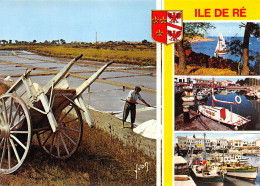 17-ILE DE RE -N°3941-B/0389 - Ile De Ré