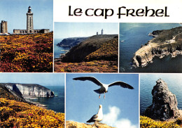 22-LE CAP FREHEL -N°3941-A/0271 - Other & Unclassified