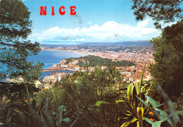 06-NICE-N°3942-A/0043 - Autres & Non Classés