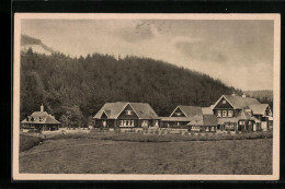 AK Daun A. Eifel, Blick Auf Das Eifelheim  - Daun