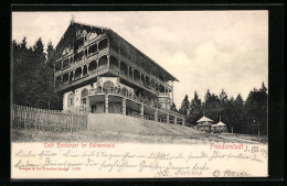 AK Freudenstadt, Unter Dem Cafe Stockinger Im Palmenwald  - Freudenstadt