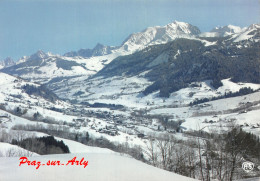 74-PRAZ SUR ARLY-N°3941-C/0349 - Autres & Non Classés