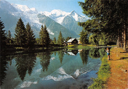 74-CHAMONIX-N°3941-C/0351 - Chamonix-Mont-Blanc