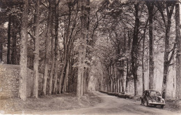 YVELINES ROSAY AVENUE DE SAINT CORENTIN - Sonstige & Ohne Zuordnung