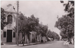 ALGERIE VIALAR RUE PRINCIPALE ET CIE ALGERIENNE - Autres & Non Classés