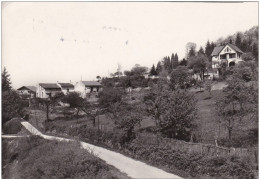 LOIRE LA TOUR EN JAREZ - Autres & Non Classés