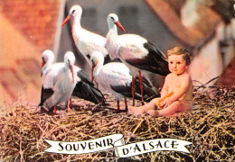 67-SOUVENIR ALSACE-N°3942-C/0231 - Autres & Non Classés