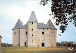 87-CHÂTEAU DE BRIE-N°3942-C/0173 - Other & Unclassified