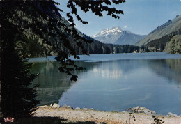 74-LAC DE MONTRIOND-N°3942-C/0143 - Autres & Non Classés