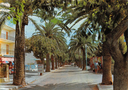 83-SANARY-N°3942-A/0233 - Sanary-sur-Mer