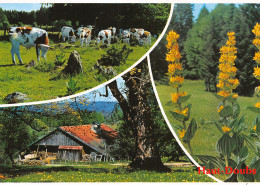 25-HAUT DOUBS-N°3942-A/0121 - Other & Unclassified