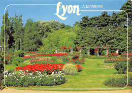 69-LYON-N°3942-A/0053 - Other & Unclassified