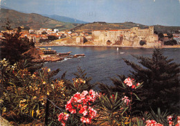 66-COLLIOURE-N°3942-D/0355 - Collioure