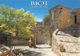 06-BIOT-N°3942-C/0289 - Biot