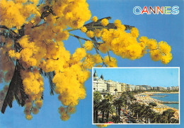 06-CANNES-N°3943-B/0253 - Cannes
