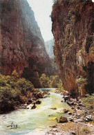 04GORGES DU VERDON-N°3943-B/0243 - Autres & Non Classés