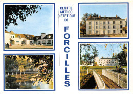 77-FEROLLES ATTILLY-N°3943-B/0113 - Other & Unclassified