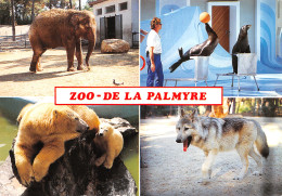 17-ZOO DE LA PALMYRE-N°3943-B/0093 - Other & Unclassified
