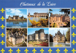 37-CHATEAUX DE LA LOIRE-N°3943-A/0345 - Sonstige & Ohne Zuordnung