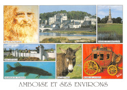 37-AMBOISE-N°3943-A/0337 - Amboise