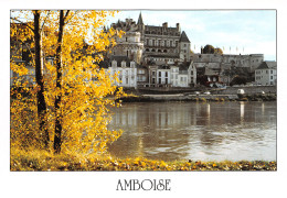 37-AMBOISE-N°3943-A/0319 - Amboise