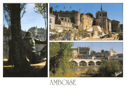 37-AMBOISE-N°3943-A/0315 - Amboise