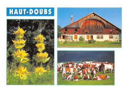 25-HAUT DOUBS-N°3943-A/0303 - Other & Unclassified