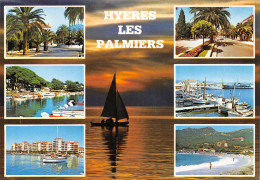 83-HYERES LES PALMIERS-N°3943-D/0179 - Hyeres