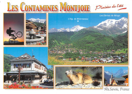 74-LES CONTAMINES MONTJOIE-N°3944-C/0133 - Les Contamines-Montjoie