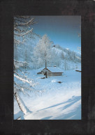 39-L HIVER-N°3944-C/0141 - Other & Unclassified