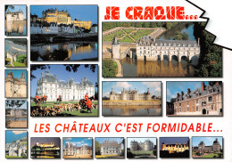 37-CHATEAUX DE LA LOIRE-N°3944-C/0101 - Other & Unclassified