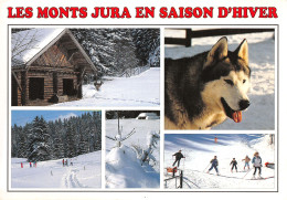39-LES MONTS JURA-N°3944-C/0033 - Other & Unclassified