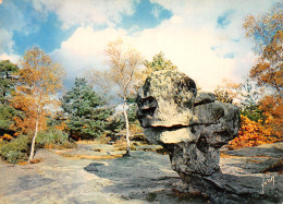 77-FONTAINEBLEAU-N°3944-A/0363 - Fontainebleau