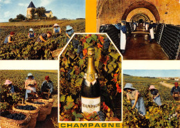 51-LA CHAMPAGNE-N°3944-A/0221 - Other & Unclassified