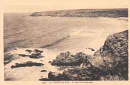 29-LA POINTE DU RAZ-N°3944-E/0031 - La Pointe Du Raz